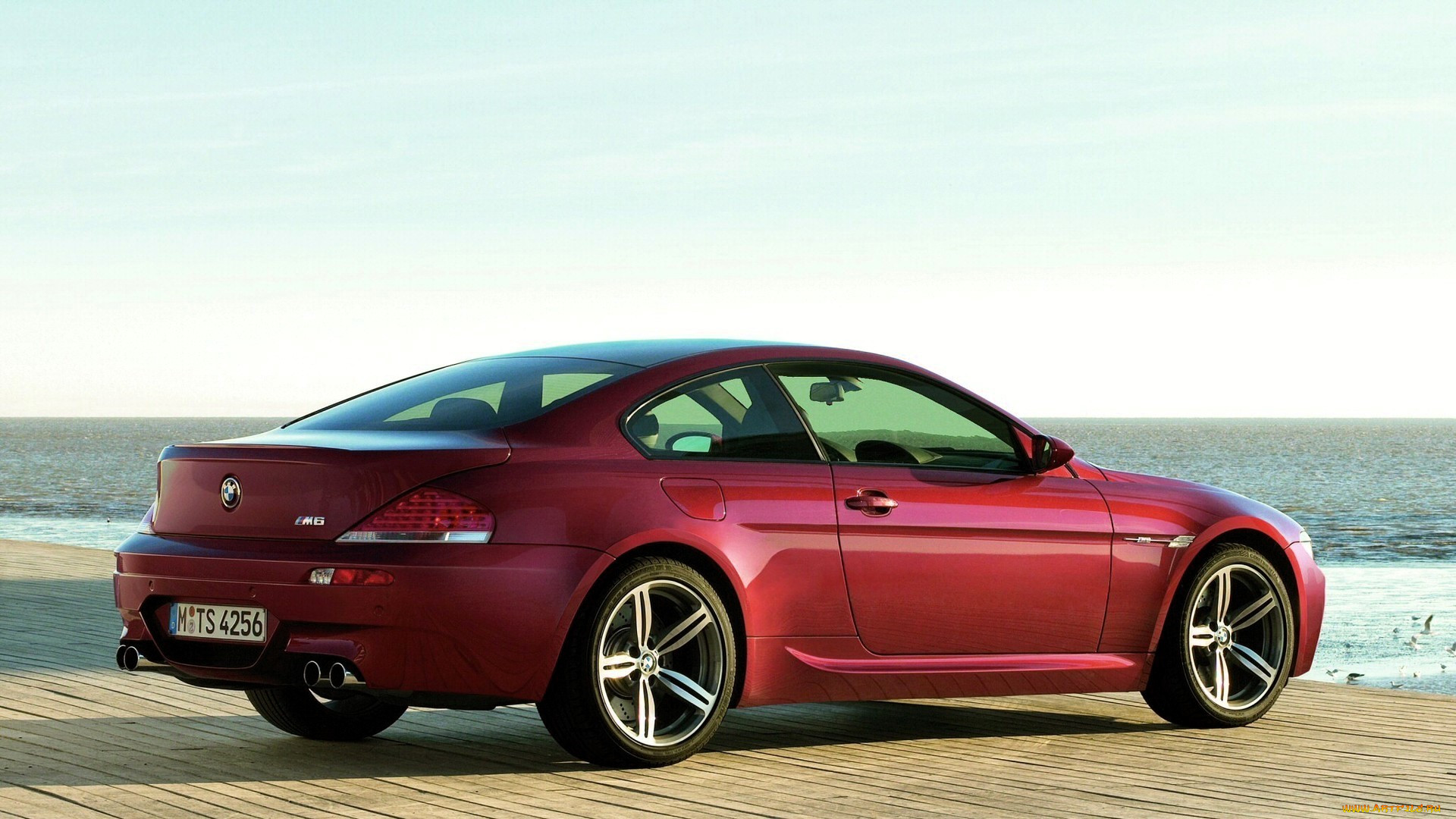 bmw m6, , bmw, , , 